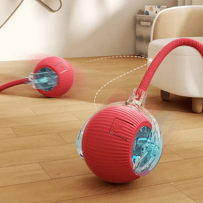 FunBall – Brinquedo interativo para animais de estimação (Promoção limitada: Paga 1 e leva outra GRÁTIS)